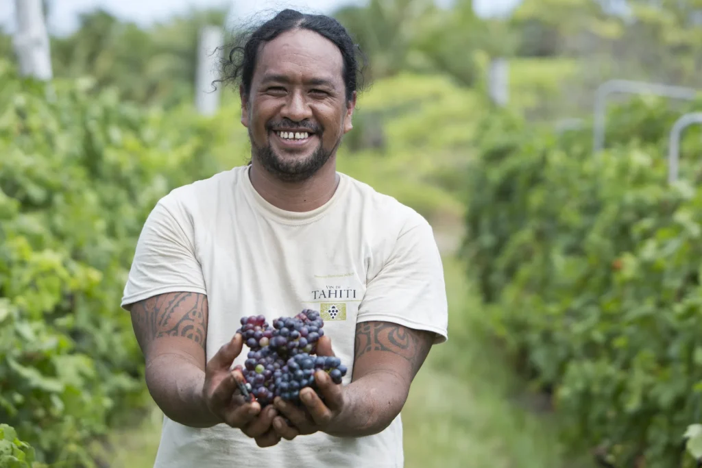 Le vin de Rangiroa est produit à partir de vignes cultivées directement sur l'île © Grégoire Le Bacon