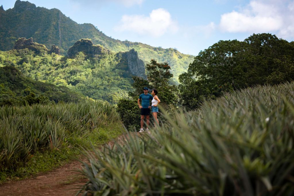 Un couple au milieu d'un cham d'ananas © Tahiti Tourisme