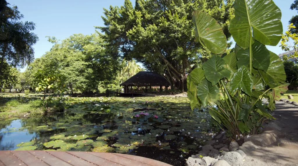 Jardin de l'Assemblée de la Polynésie française © Assemblée de la Polynésie française