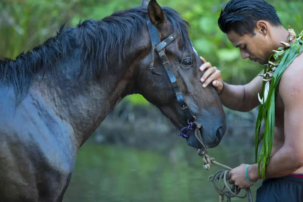 Cavalier et son cheval à Hiva Oa © Tahiti Tourisme