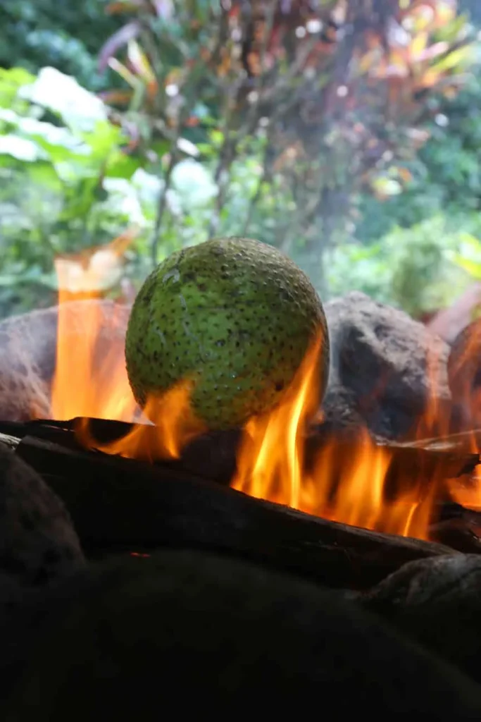 Cuisson d'un uru pour le kaaku © Vincent LYKY