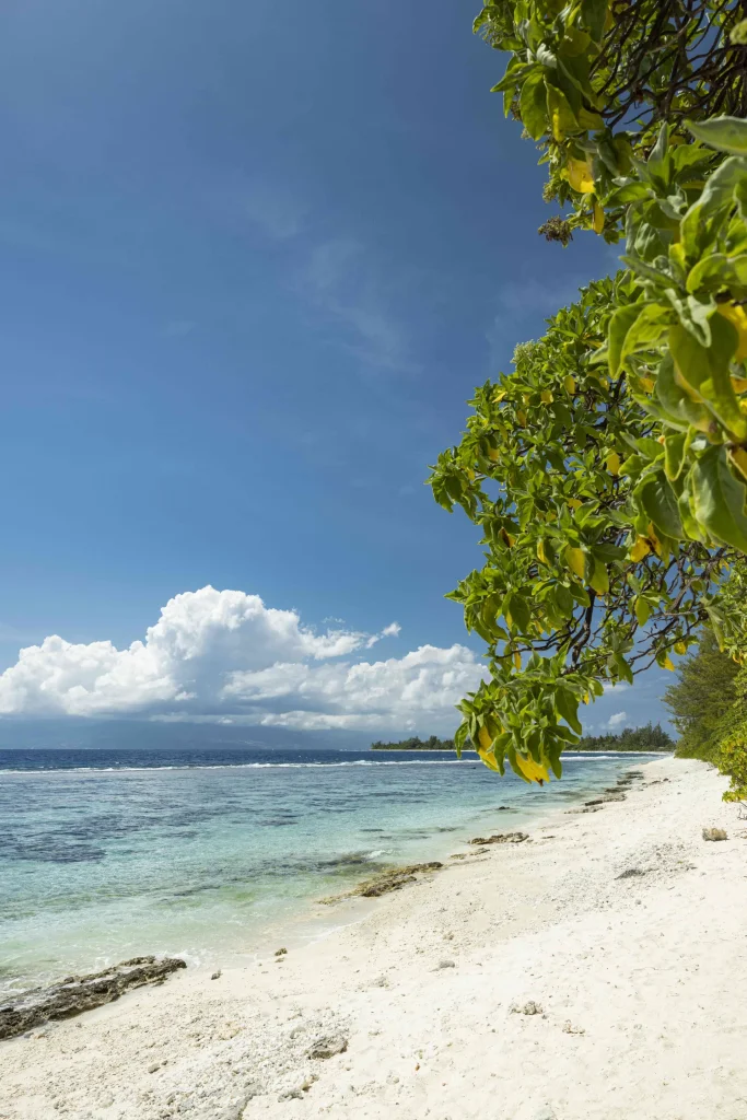 Plage de sable blanc à Moorea ©Grégoire Le Bacon