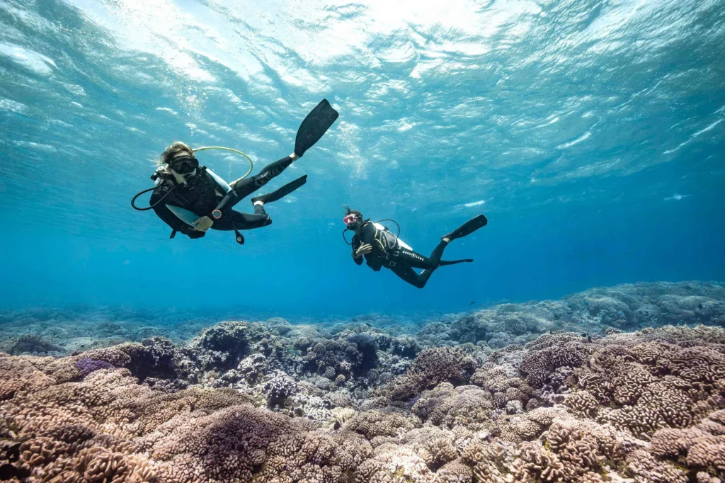 Plongée et observation du corail © Alexandre Voyer Fakarava