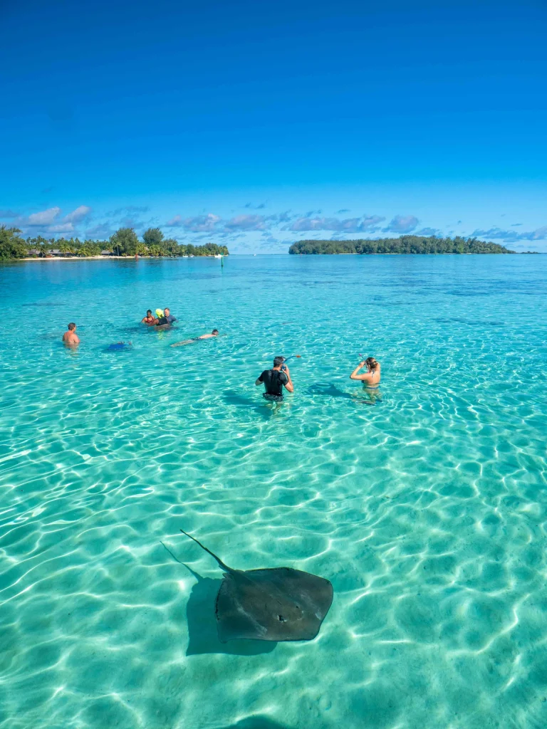 Plonger dans une eau turquoise © Mark Fitz