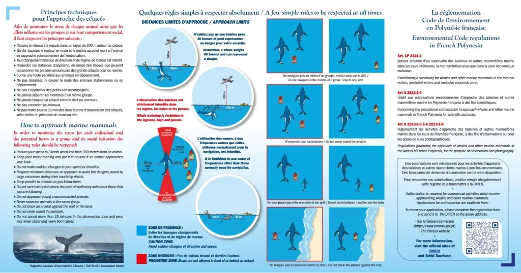 Règles d'observation des baleines à bosse en Polynésie française