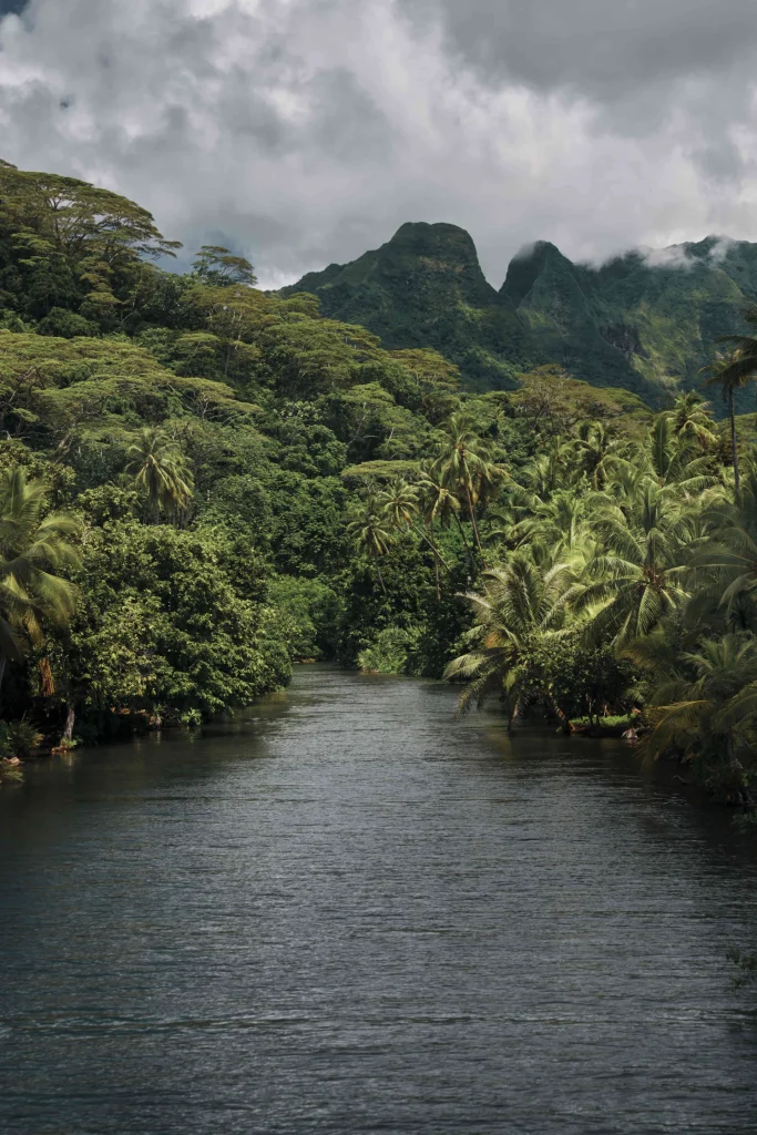 La rivière à Raiatea©_Alika Photography