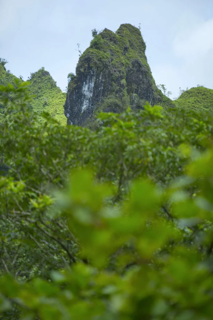 Pic de montagne à Tahiti © Tahiti Tourisme