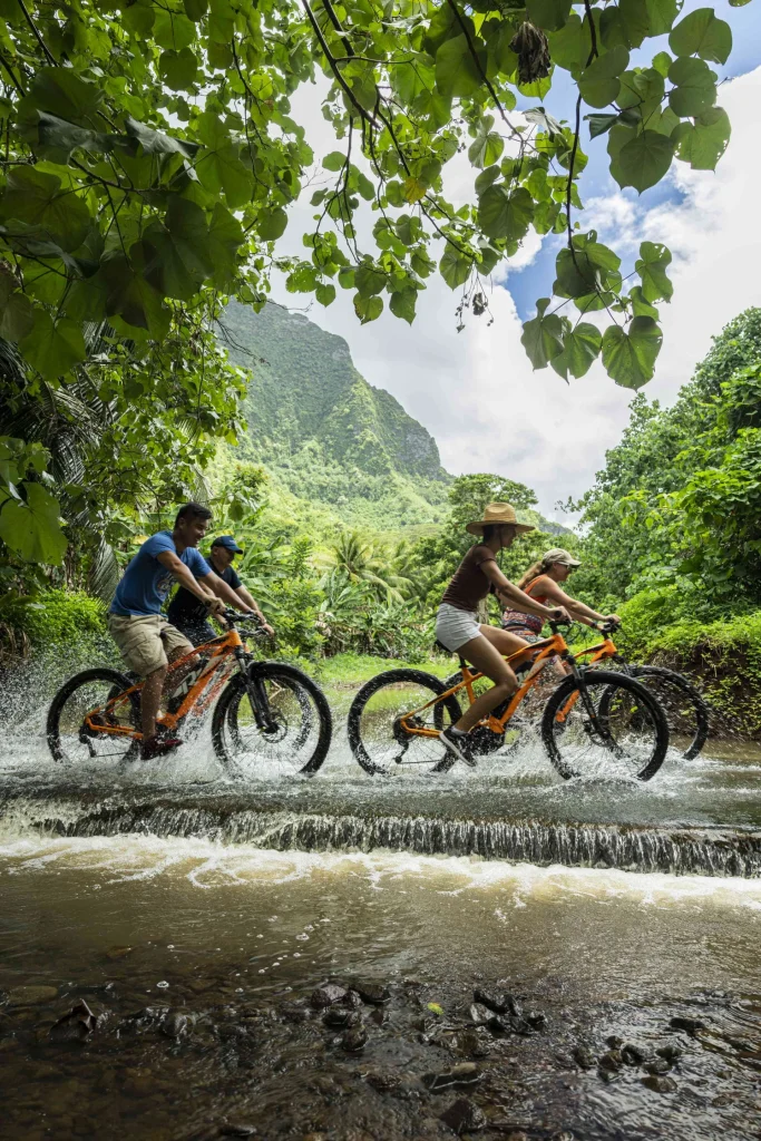 Bike tour © Grégoire Le Bacon