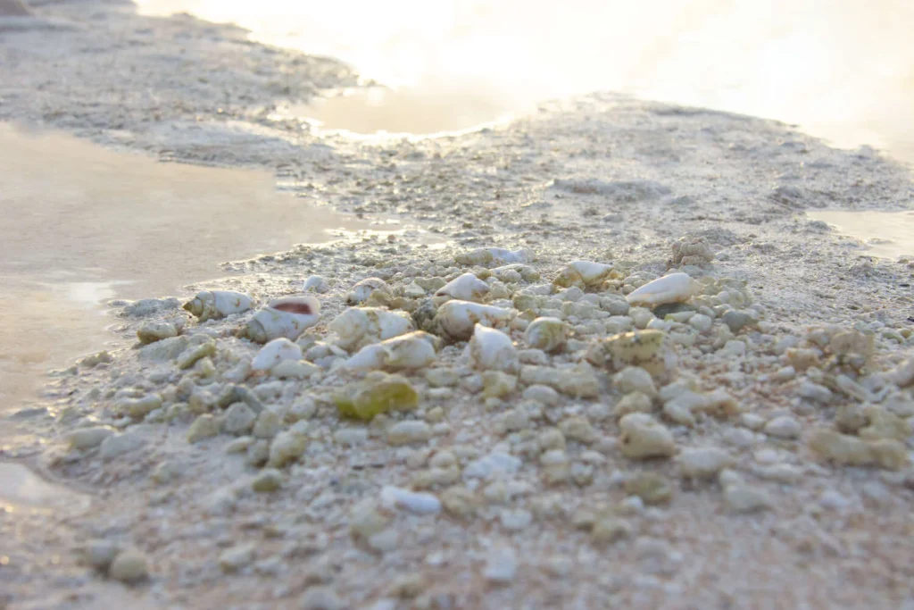 Zoom sur les plages de sables rose a Tikehau © Teriitua Maoni