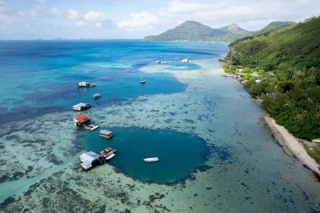 Fermes perlières des Îles Gambier © Tim McKenna