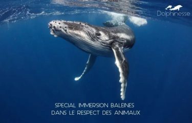 Séjours vacances