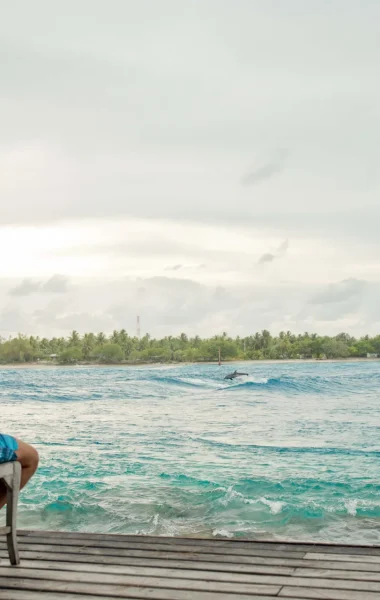 Observation de dauphin à Rangiroa © Hélène Havard