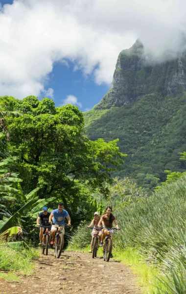 Balade en vélo électrique dans les champs d'ananas de Moorea © Grégoire Le Bacon