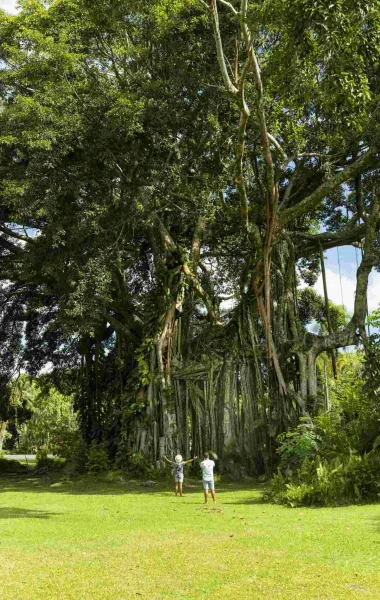 Jardins de Vaipahi © Grégoire Le Bacon