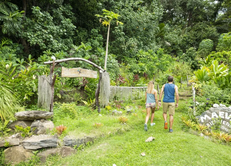 Nature sauvage et préservée
