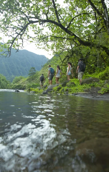 Nature sauvage et préservée