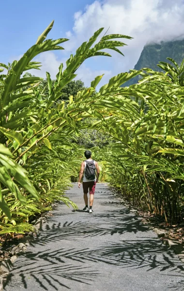 Nature sauvage et préservée