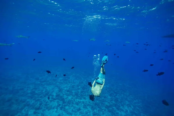 Les 10 meilleures activités à faire à Bora Bora