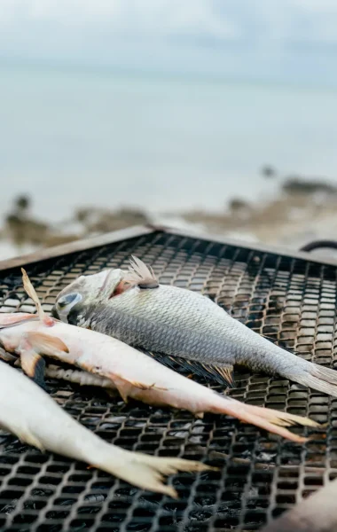 Grillade sur la plage © Hélène Havard