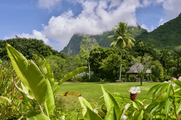 Les 10 plus beaux spots des Îles de la Société