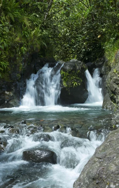 Patrimoine naturel de Tahiti