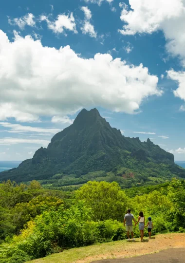 Belvédère de Moorea ©_Grégoire Le Bacon