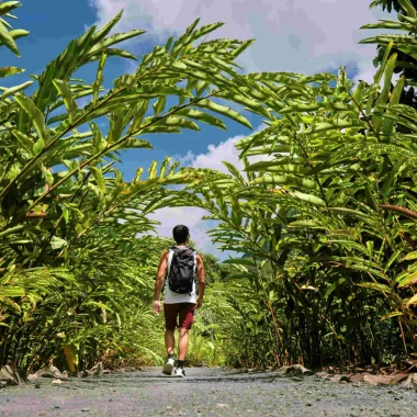 Découvrir Raiatea, l'île sacrée©_Alika Photography