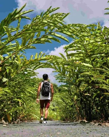 Découvrir Raiatea, l'île sacrée©_Alika Photography