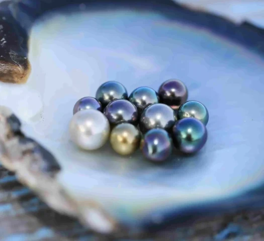 Les perles de Tahiti Et Ses Îles sont de couleurs et de formes variées © Gregoire Le Bacon