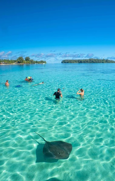 Plonger dans une eau turquoise © Mark Fitz