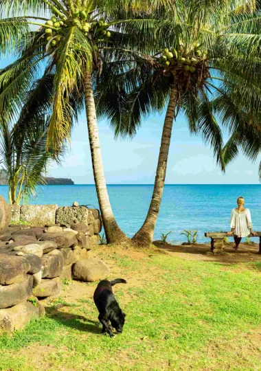 Voyager a Tahiti Et Ses Îles avec des animaux © Grégoire Le Bacon