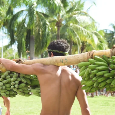 Porteur de fruits de dos avec des régimes de bananes © Teriitua Maoni