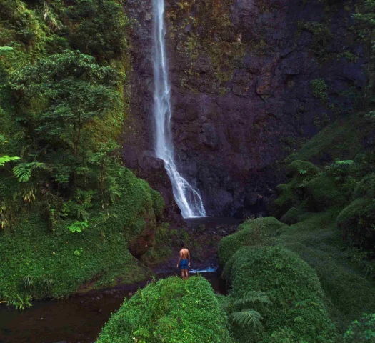 Cascade Puraha à Papenoo © Karl Shakur