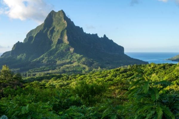 Vue sur le mont Rotui à Moorea